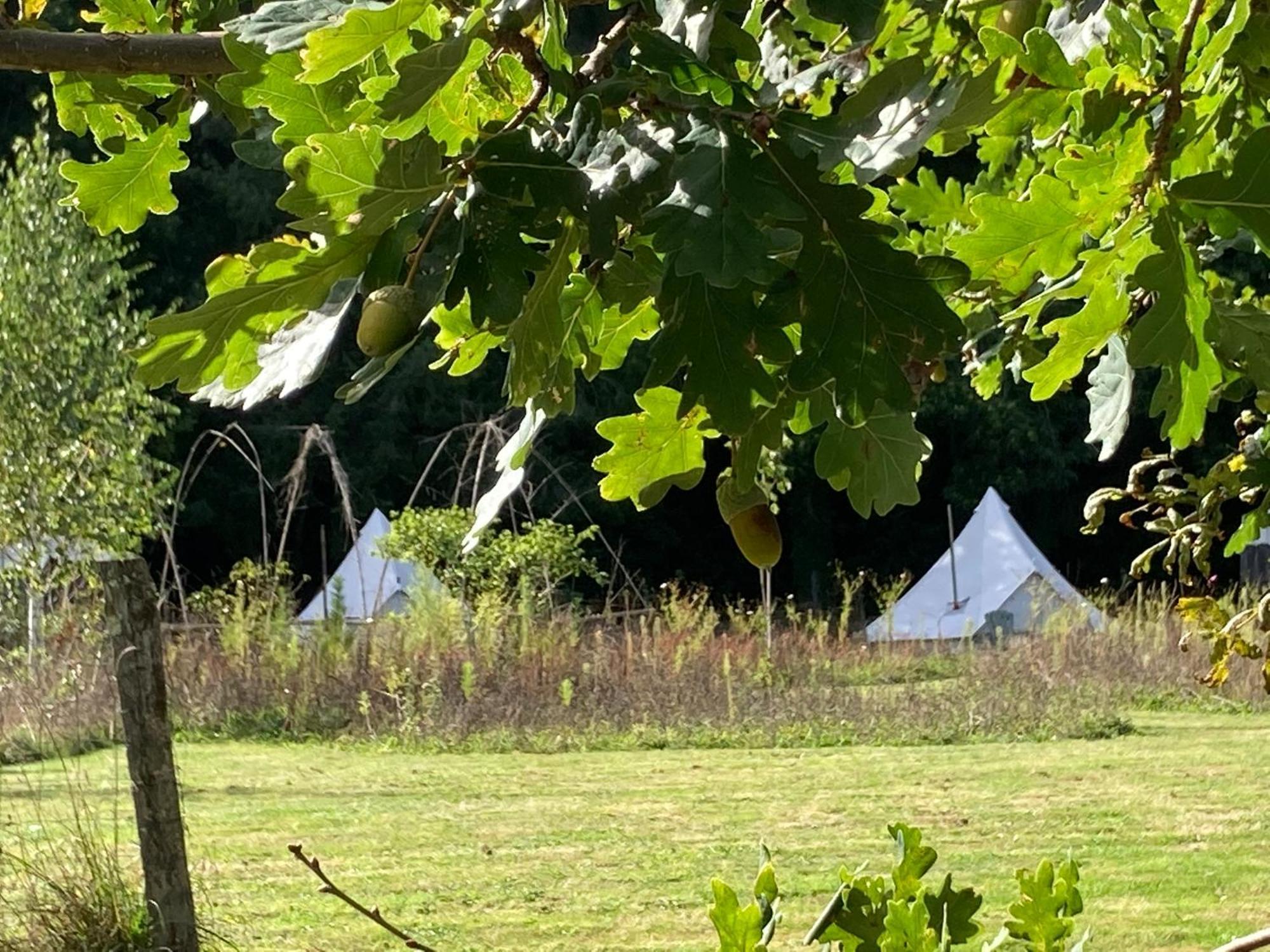 Au Pre Fleuri Eco Glamping Hotel Le Lindois Kültér fotó